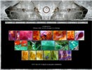 Visit the Addicted to Blue Gallery I