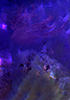 Indigo Hills