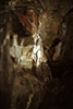 Alien 2