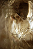 Alien 5A